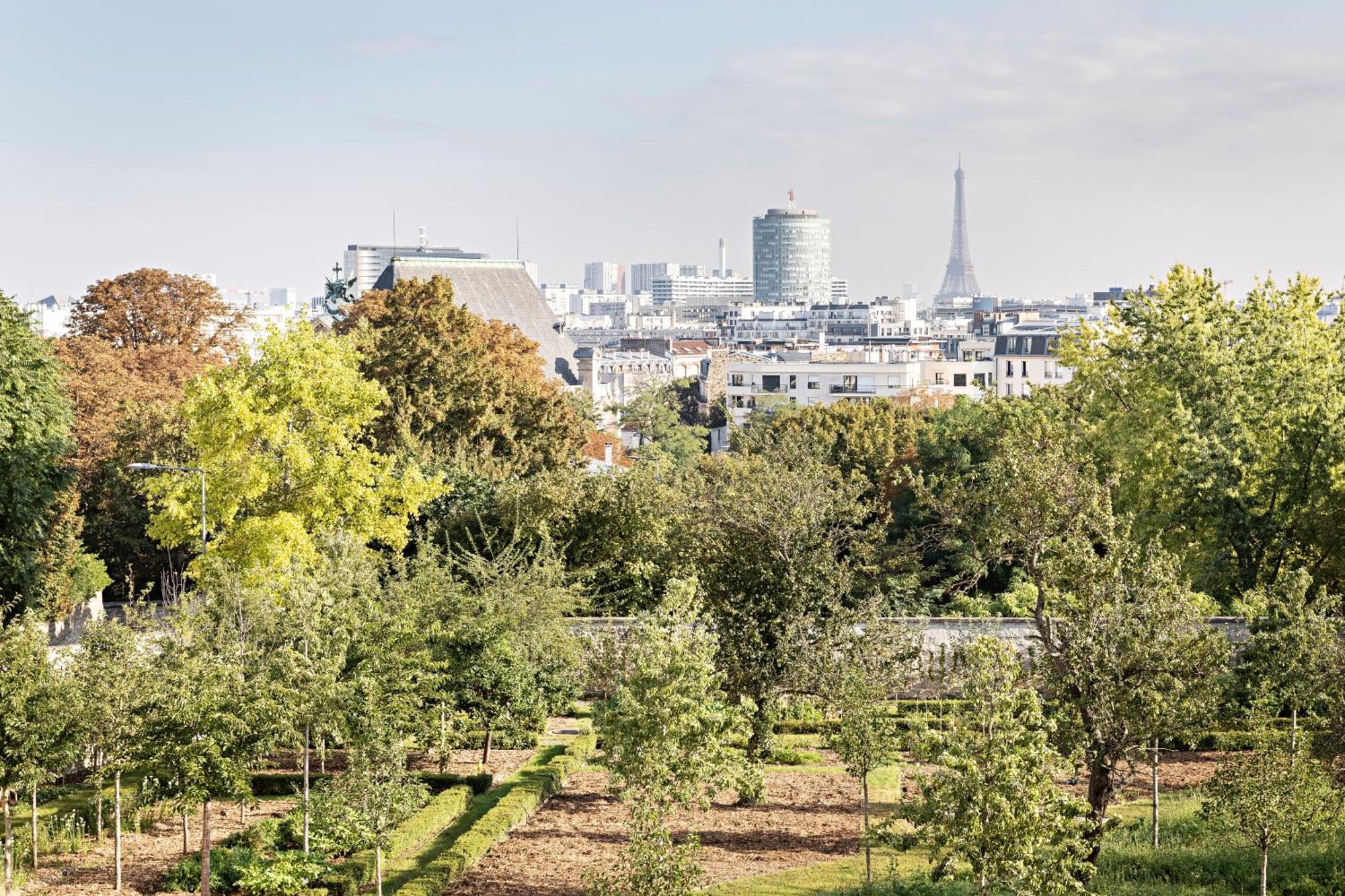 Domaine De La Reine Margot Paris-Issy - Mgallery Collection Issy-les-Moulineaux Buitenkant foto